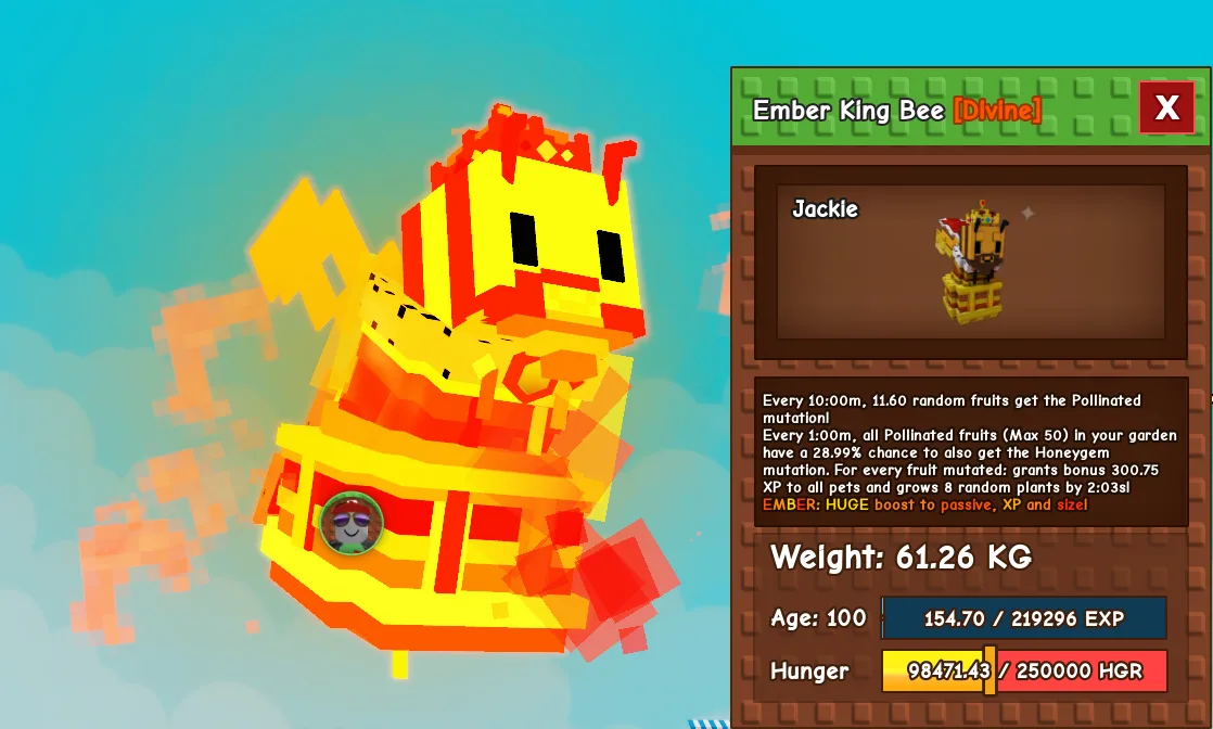 61.24kg+ Age 100 Ember King Bee