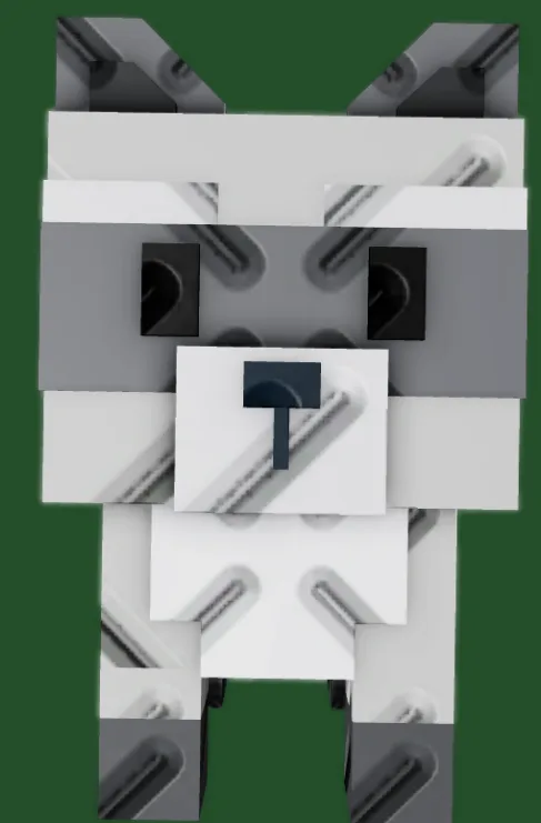 Raccoon (Super) — Account account