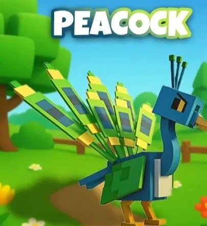 91kg peacock