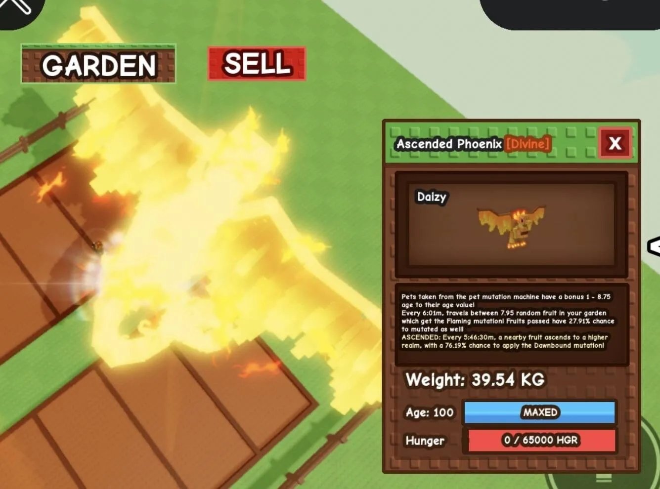 Huge ASCENDED Phoenix - 39.54 KG (Age 100)