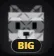 Raccoon (Super)