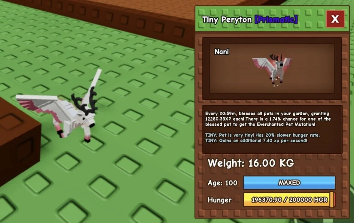TINY Peryton - 16.00 KG (Age 100)