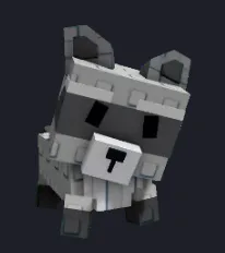 Raccoon