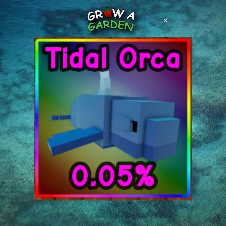TIDAL ORCA