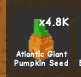 Atlantic Giant Pumpkin Seed (Secret)