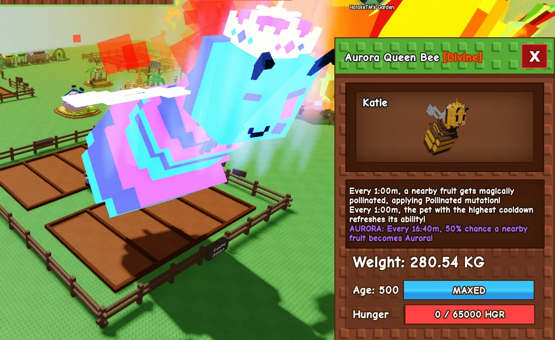 280.54kg Aurora Queen Bee