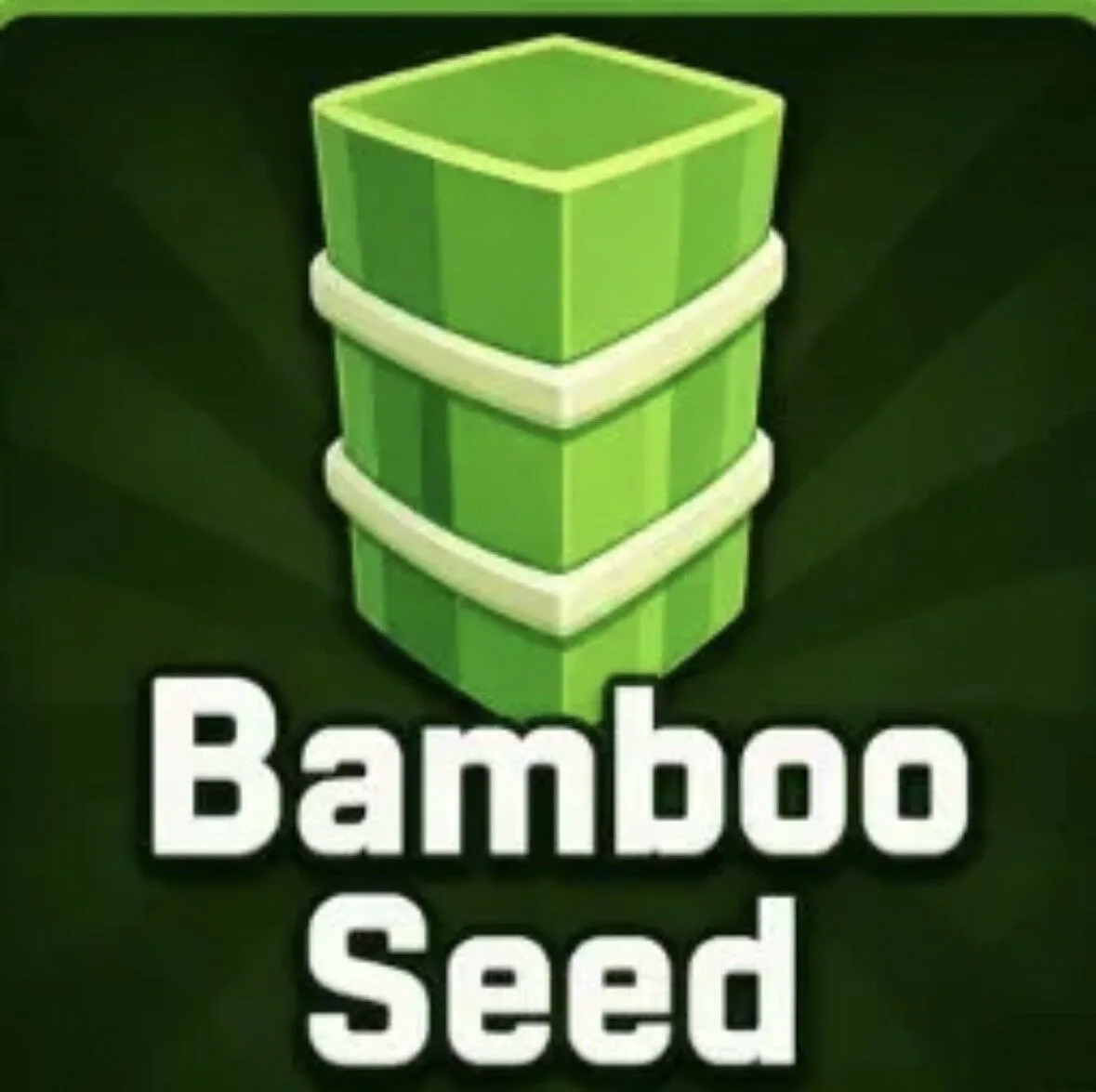 Bamboo Seed