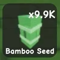 Bamboo Seed — Account account
