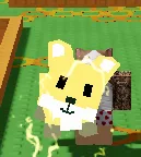 red fox — Account account
