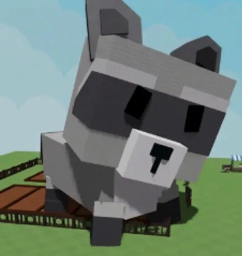 100 years old RACOON
