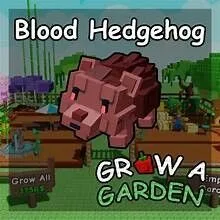 READY HUGE 60/61 KG BLOOD HEDGEHOG Grow A Garden