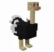 Ostrich