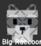 Raccoon (Super)