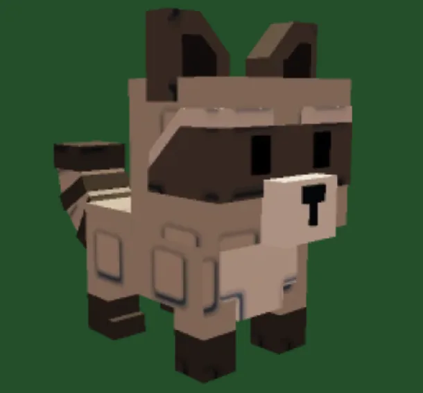 RACCOON — Account account