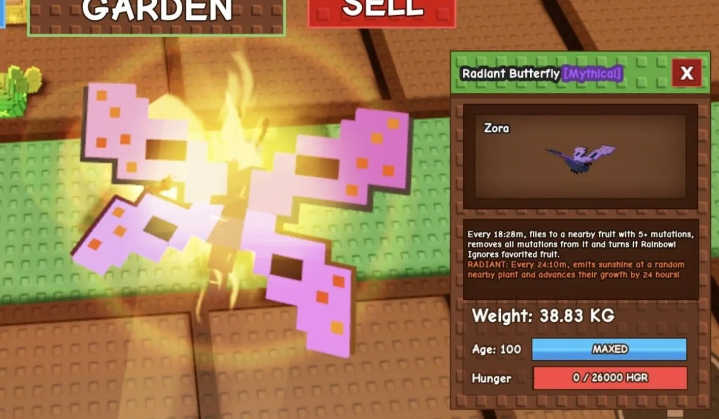 Huge RADIANT Butterfly - 38.83 KG (Age 100)