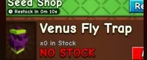 Venus Fly Trap Seed