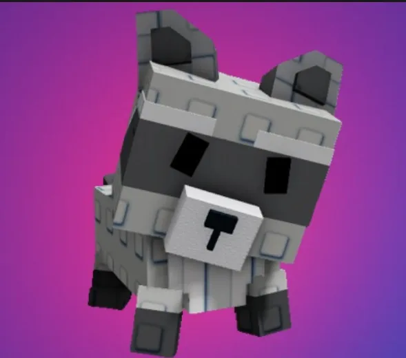 Raccoon (Super) — Account account