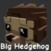 Hedgehog (Rare)