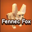 Fennec Fox — Account account