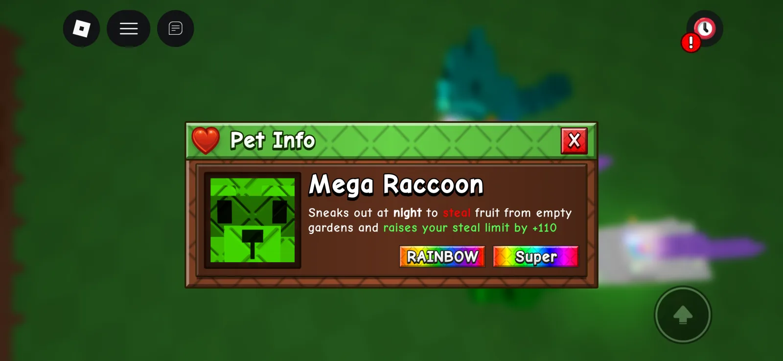 Raccoon (Super)