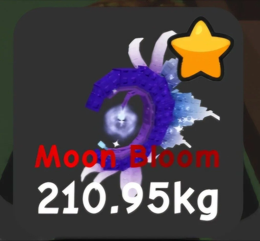 Black Dragon