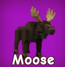 Moose Instant Delivery