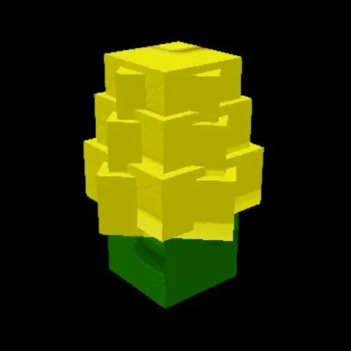 Corn Seed