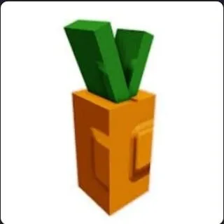 Carrot Seed (Common)