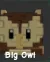 Owl (Common) — Account account