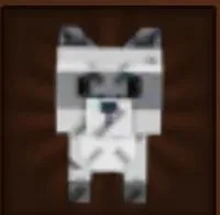 Raccoon (Super) — Account account