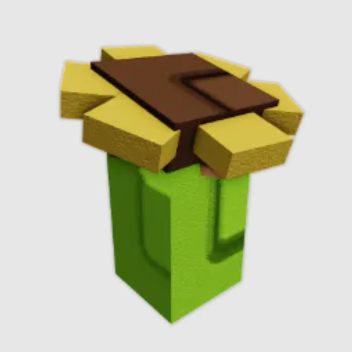 Sunflower Seed — Account account