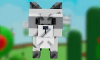 Raccoon (Super) — Account account