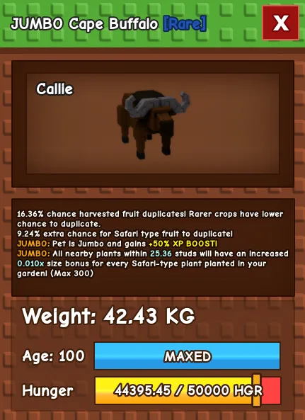CHEAP Jumbo 42kg Cape Buffalo! Fast Delivery