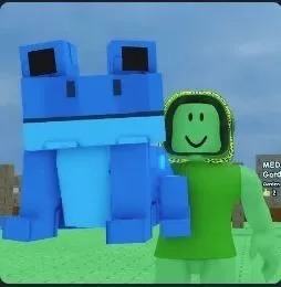 Echo Frog — Account account