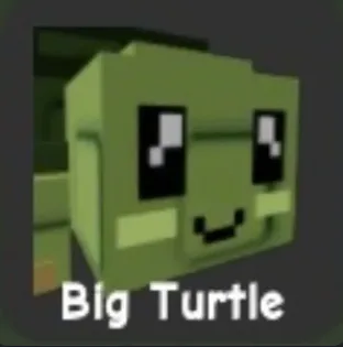 Turtle (Rare)