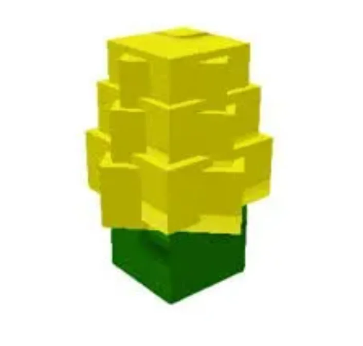 Corn Seed