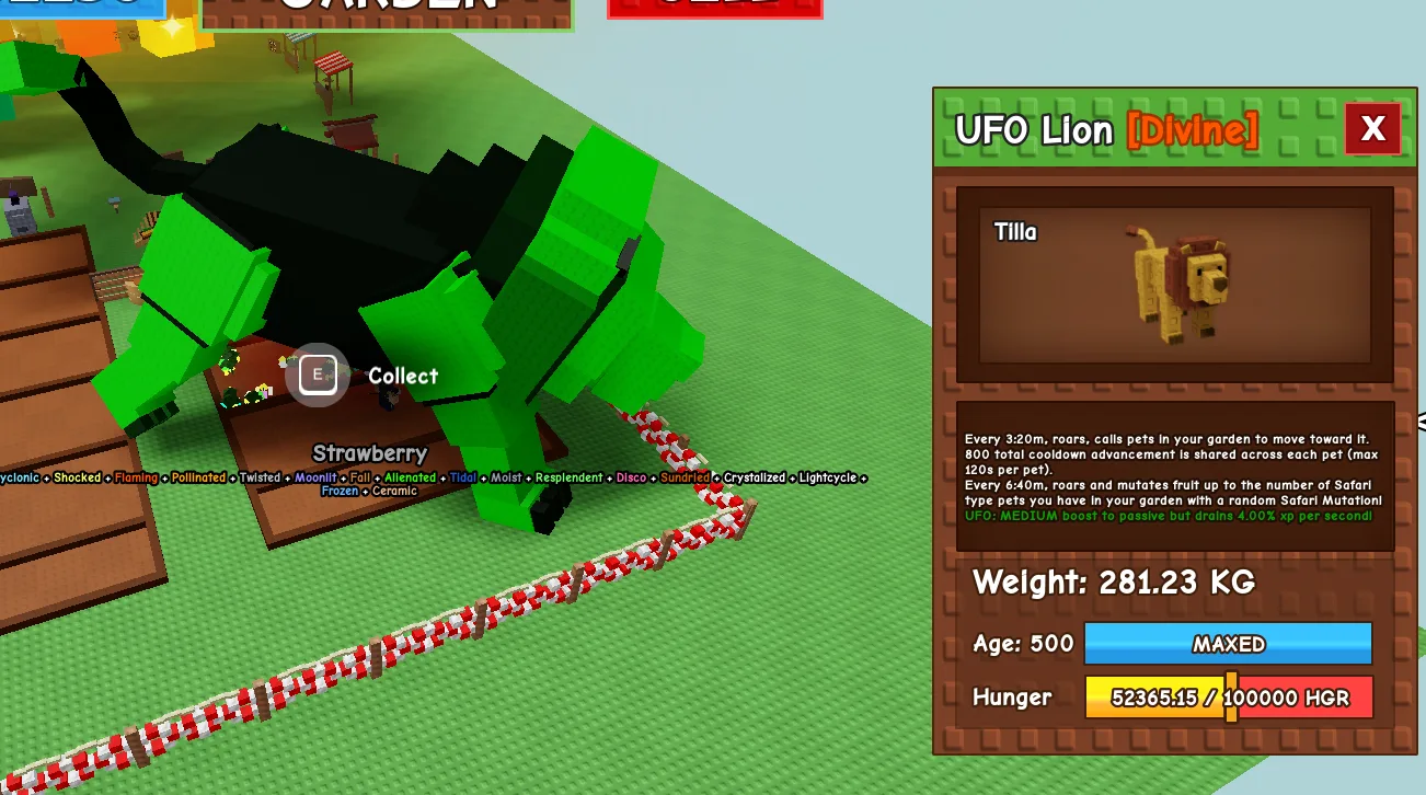 280+KG UFO Lion Divine // super handsome // Age 500 MAXED // Safari Fruit Mutations + Cooldown Advance//not peacock//i run out of tag others limitat
