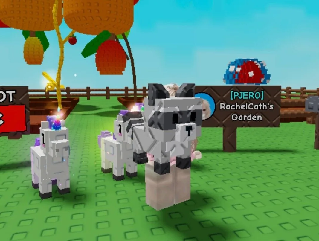 Raccoon (Super)