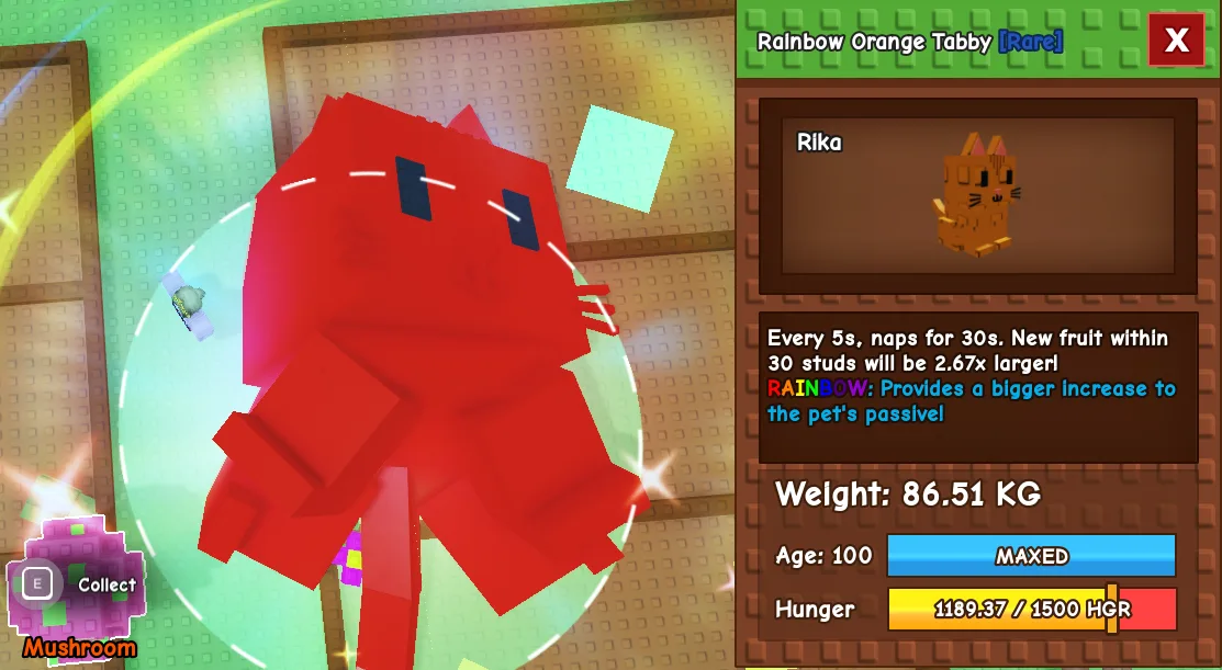 86.51kg Titanic Rainbow Orange Tabby