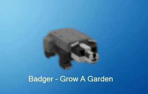 Pet Badger Grow a Garden Instant Delivery Safe trade GAG