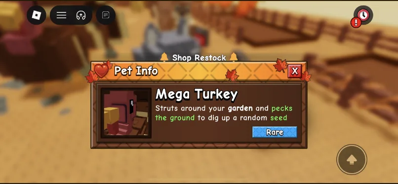 Turkey (Rare)
