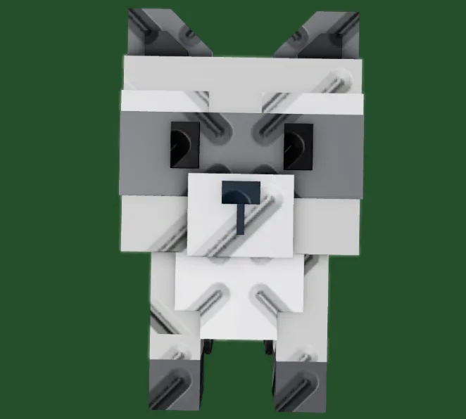 Raccoon (Super) — Account account