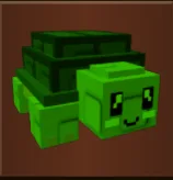 Turtle (Rare)