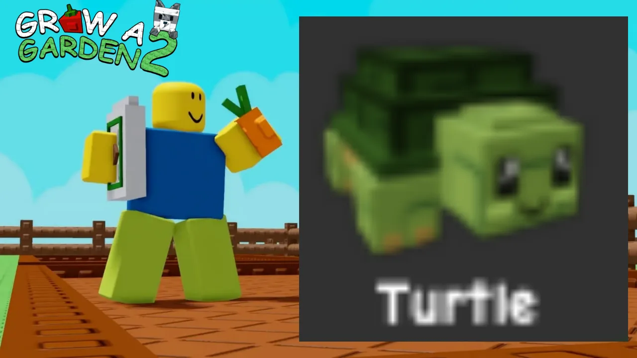 Turtle (Rare)
