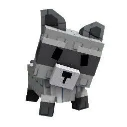 Raccoon
