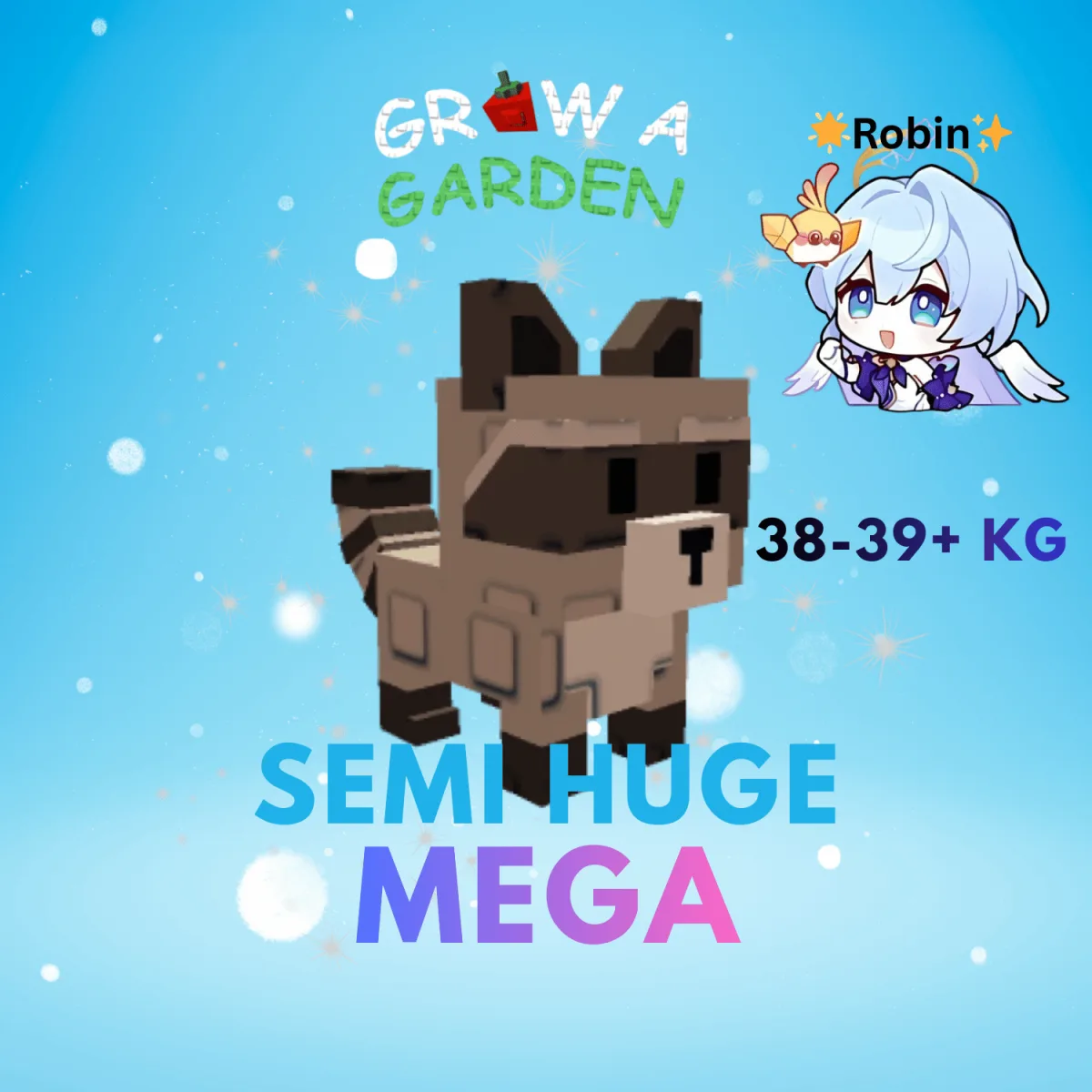 Semi HUGE Mega Raccoon - 38-39+KG - Grow a Garden — Account account