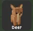 Deer (Common)