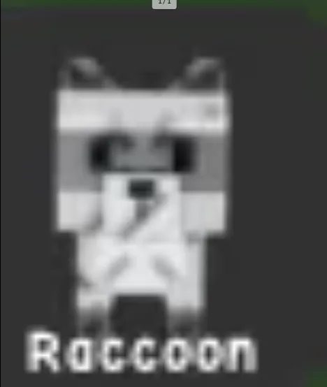 Raccoon (Super) — Account account