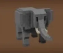 Elephant new pet --Random kg