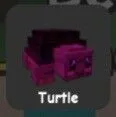 Turtle (Rare)